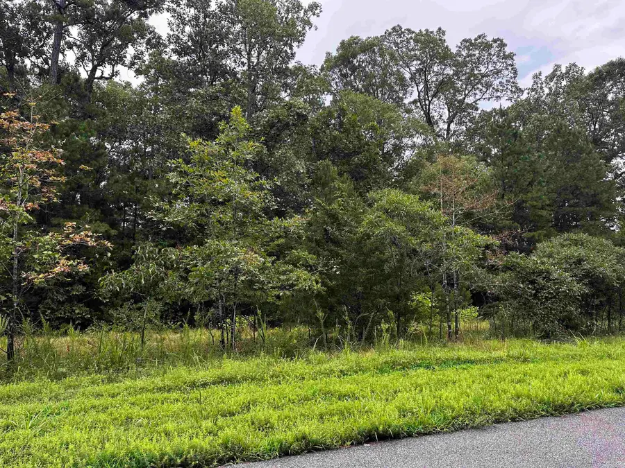 Lot 69 Cobalt Bay Drive, Shirley, AR 72153 - #2