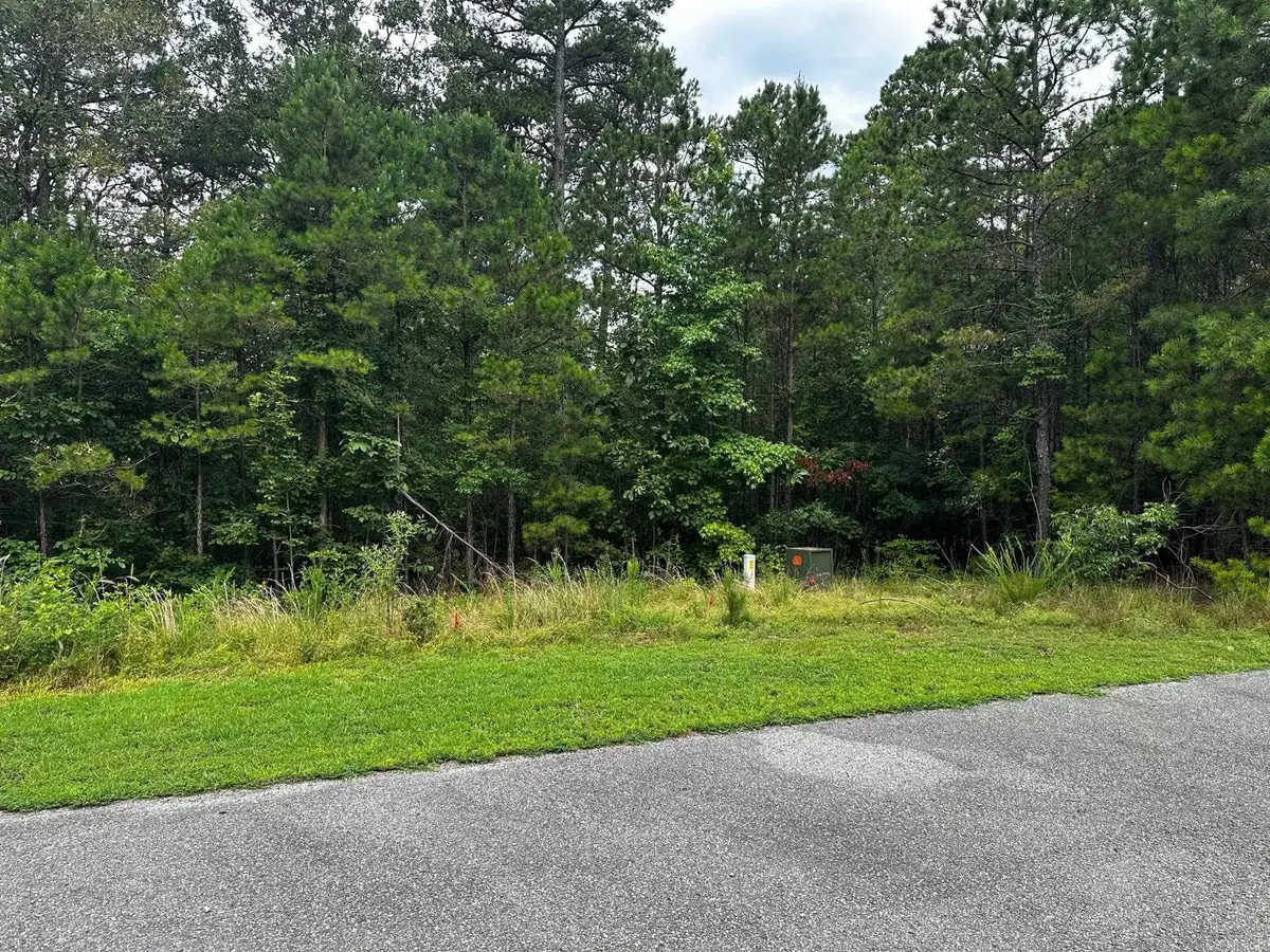 Lot 91 Cobalt Bay Drive, Shirley, AR 72153 - #1