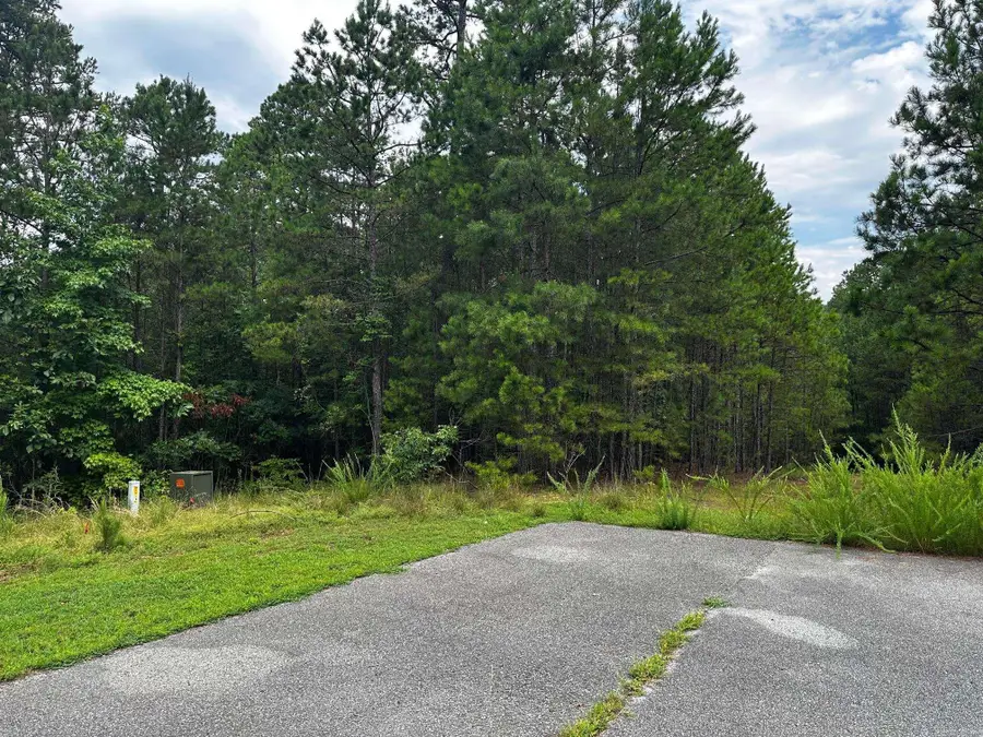 Lot 91 Cobalt Bay Drive, Shirley, AR 72153 - #2