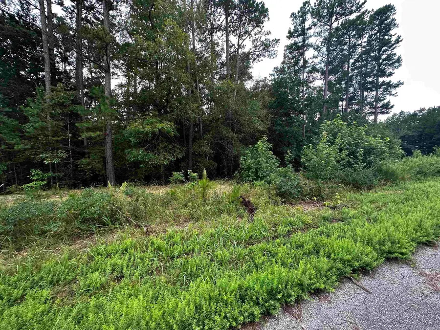 Lot 62 Green Creek Trl, Shirley, AR 72153 - #2