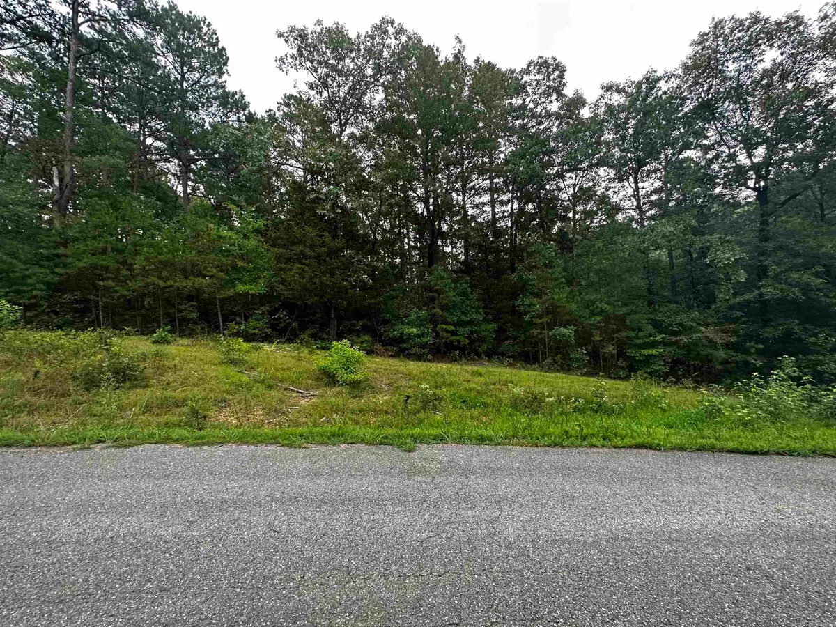 Lot 47 Cobalt Bay Drive, Shirley, AR 72153 - #1