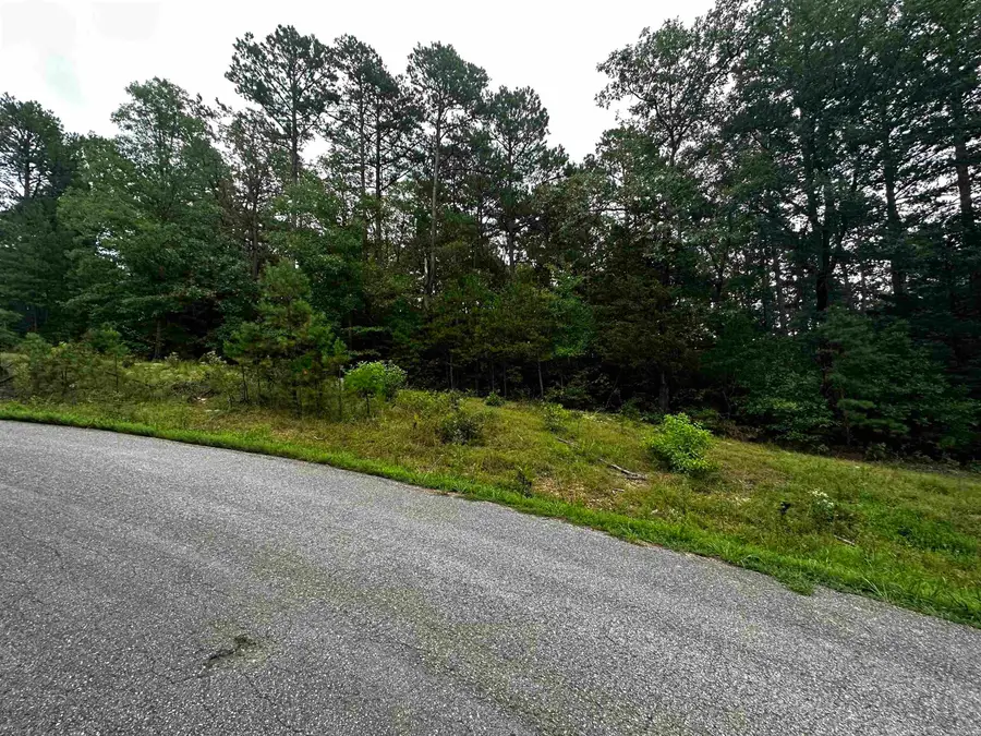 Lot 47 Cobalt Bay Drive, Shirley, AR 72153 - #3