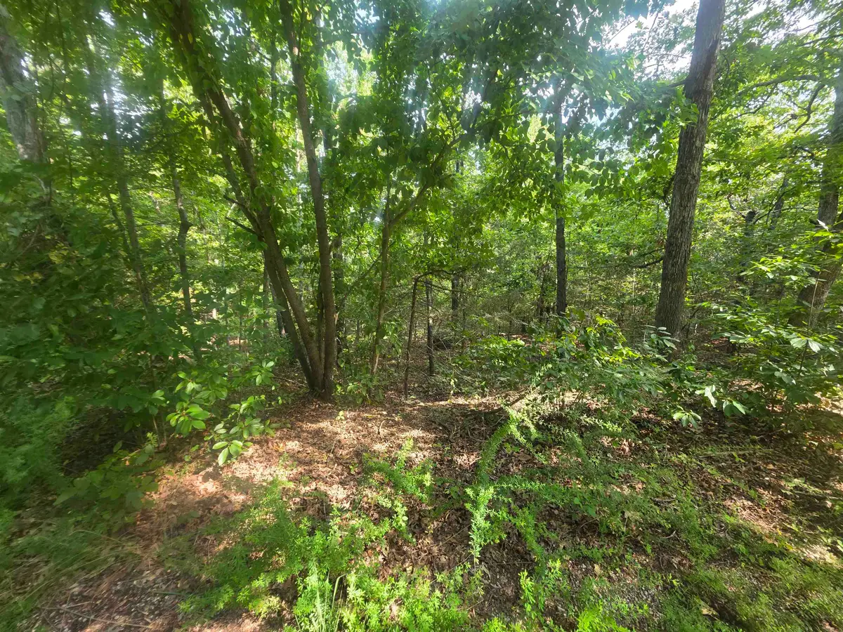 L10B4 Anadarko Drive, Cherokee Village, AR 72529 - #1