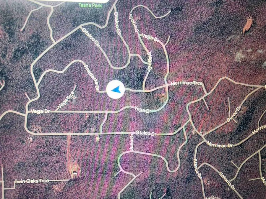 L10B4 Anadarko Drive, Cherokee Village, AR 72529 - #2