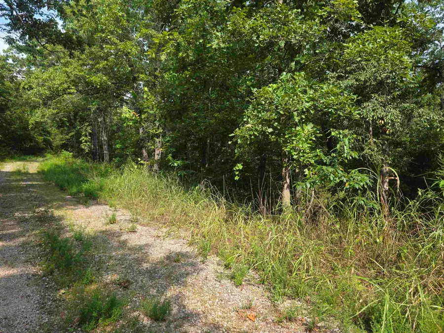 L10B4 Anadarko Drive, Cherokee Village, AR 72529 - #3