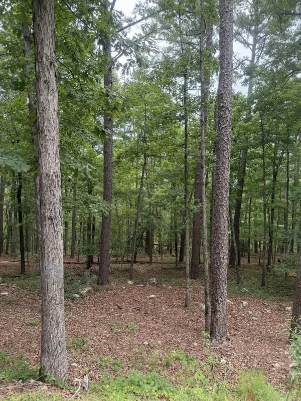 42 Gerante Way, Hot Springs Village, AR 71909