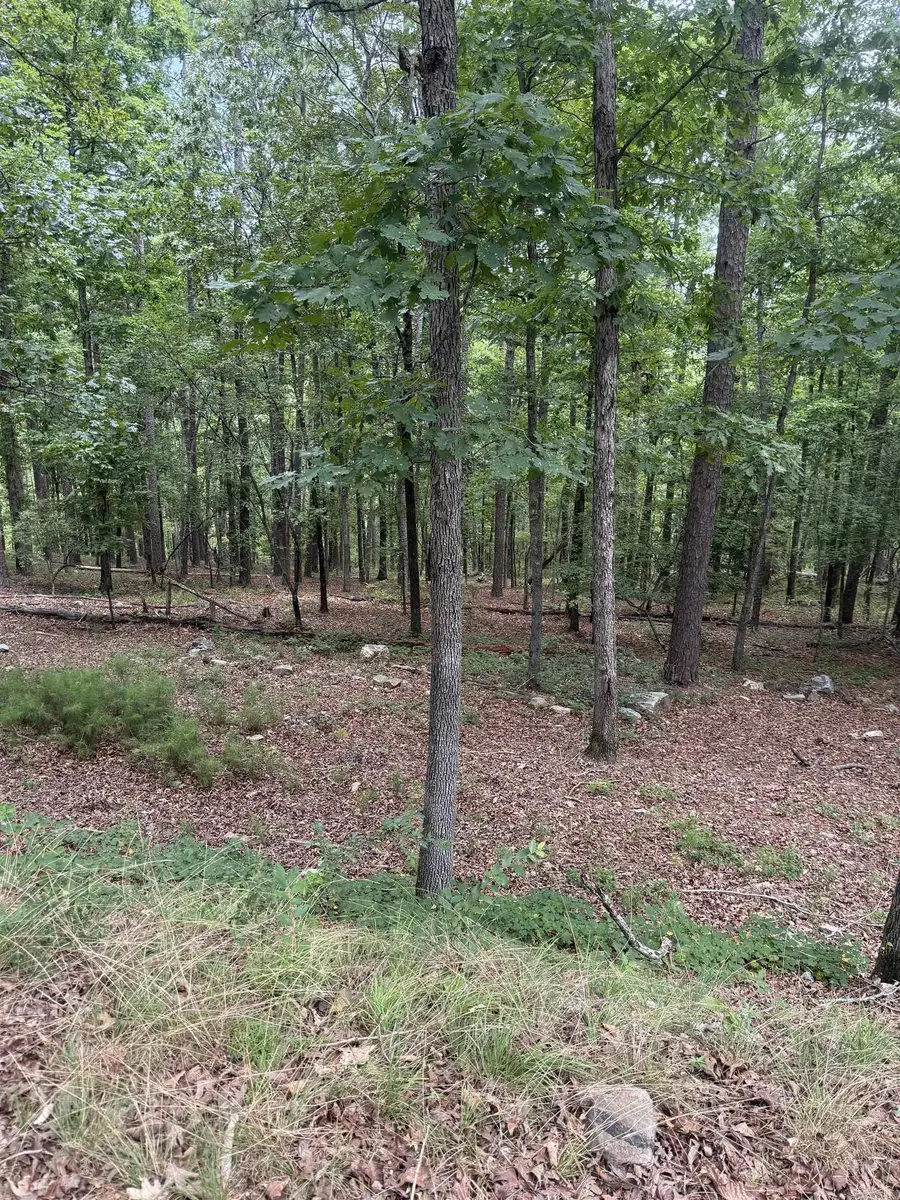 42 Gerante Way, Hot Springs Village, AR 71909 - #2