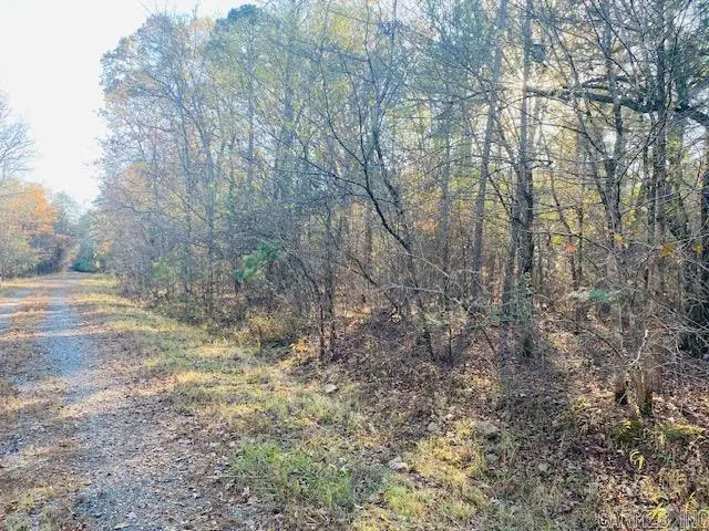 Unk Black Gum Lane, Mena, AR 71953 - #2