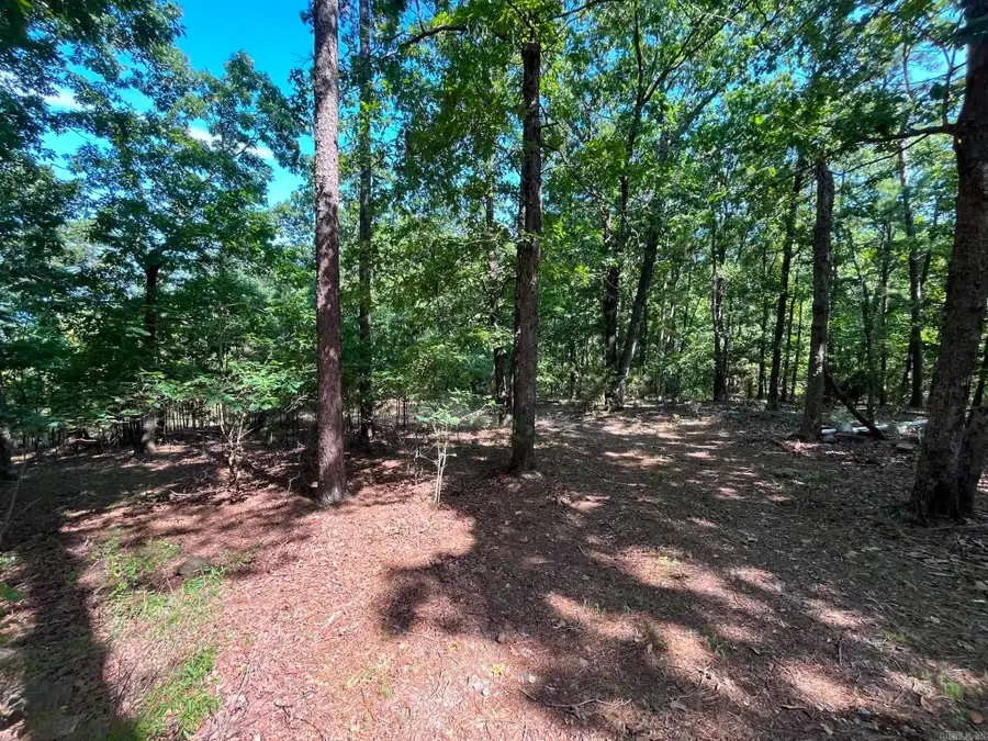 301 Chaparral Lane, Mena, AR 71953 - #2