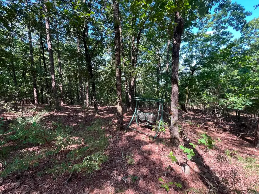 301 Chaparral Lane, Mena, AR 71953 - #3