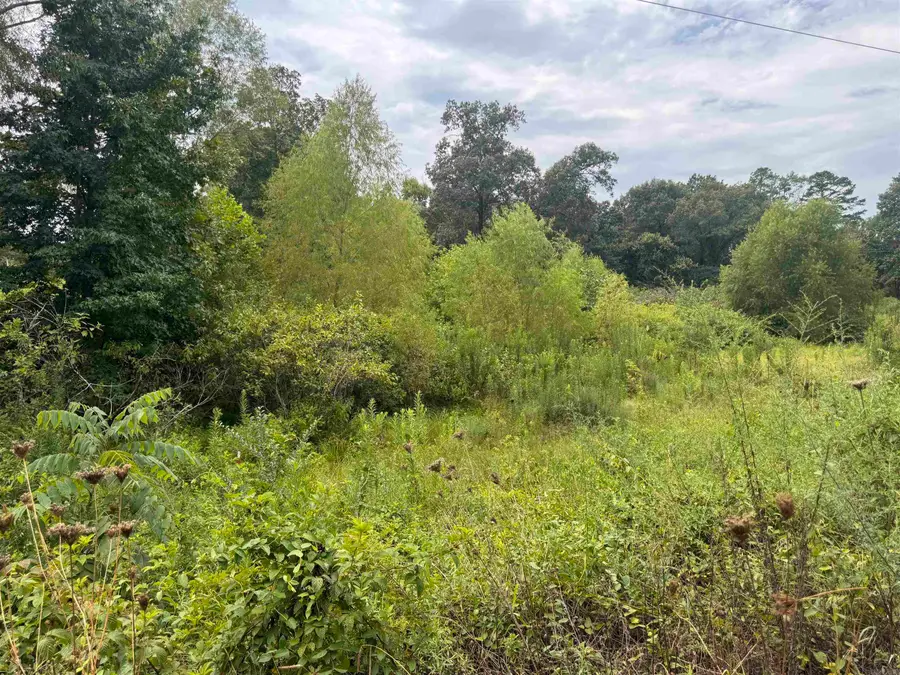 xxx Buckville, Jessieville, AR 71949 - #3