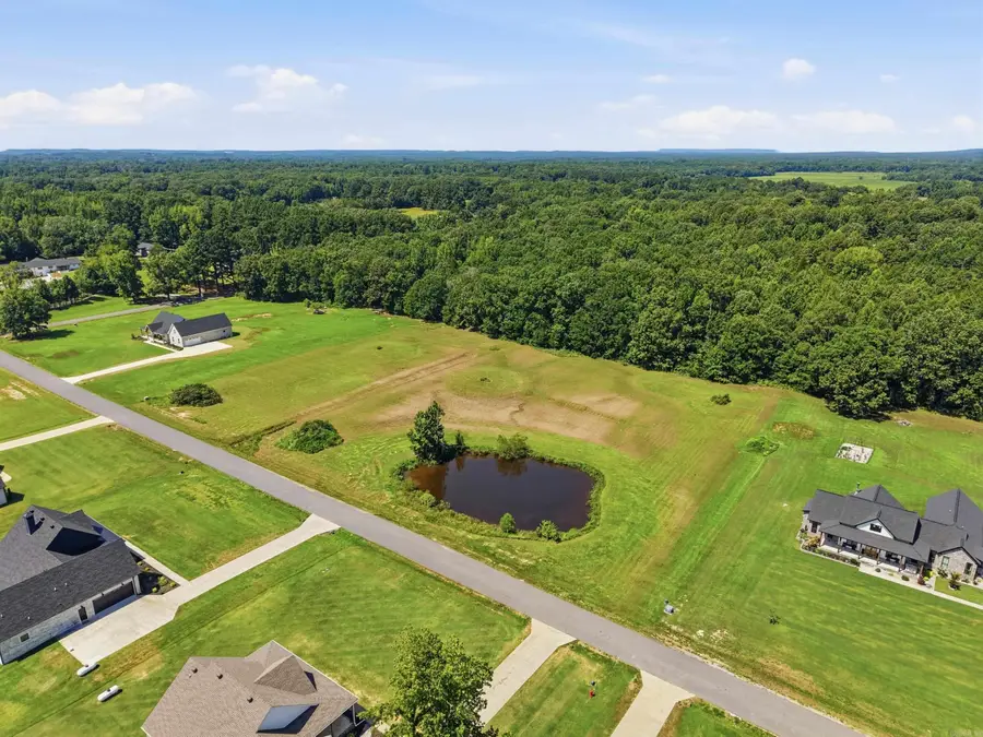 21 Irene Cir, Greenbrier, AR 72058 - #3