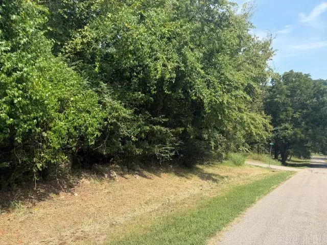 004-00076-000 South Street, Cotter, AR 72626 - #1
