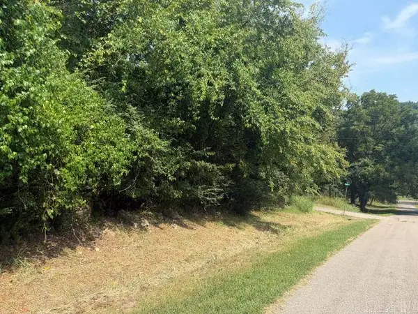 004-00076-000 South Street, Cotter, AR 72626