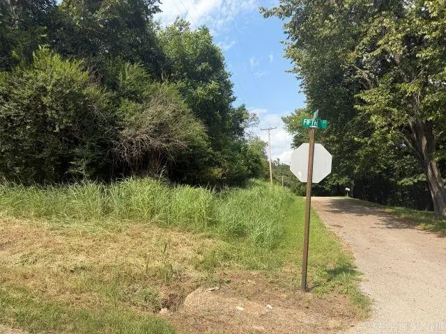 004-00076-000 South Street, Cotter, AR 72626 - #3