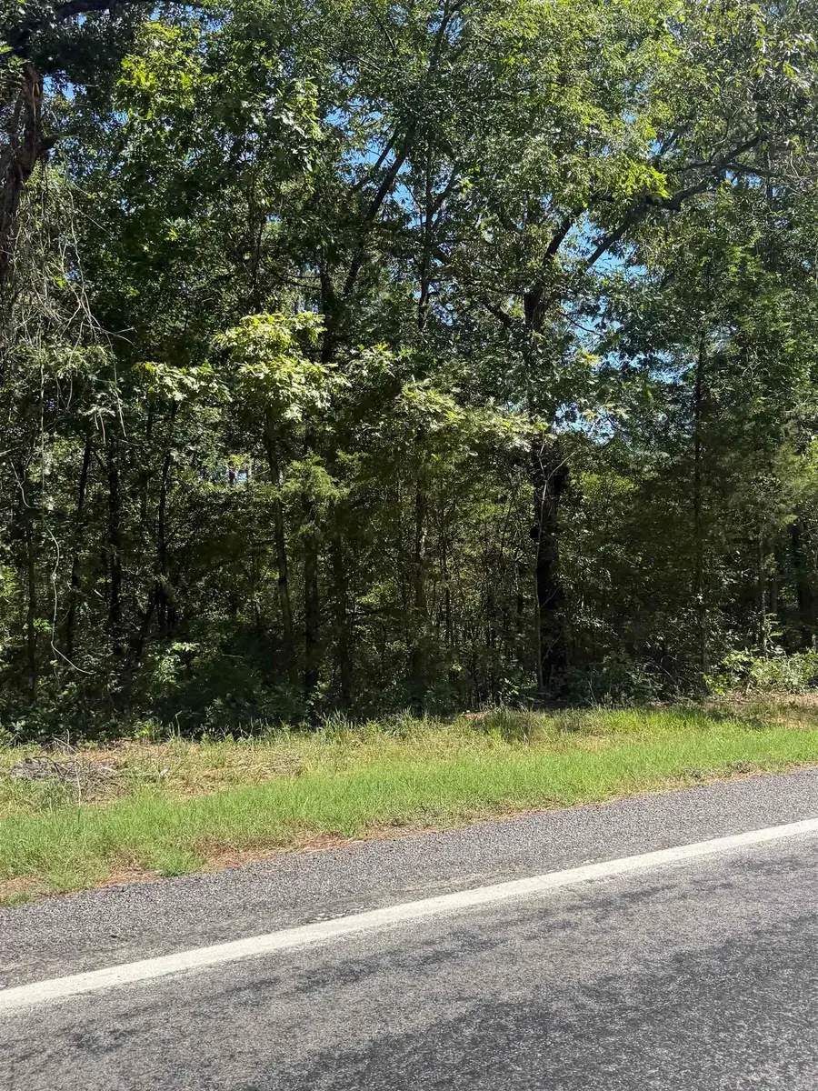 804 Highway 95, Clinton, AR 72031 - #2
