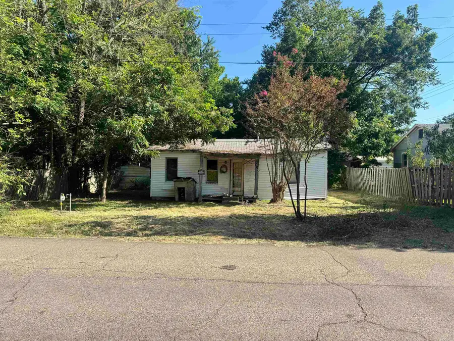 408 Petros Ave, Mena, AR 71953 - #2