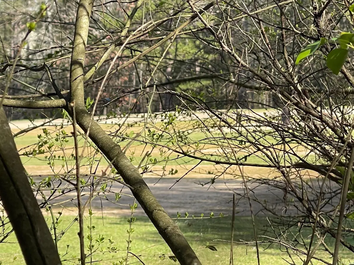 Lot 152 Mountain Ranch Drive, Fairfield Bay, AR 72088 - #1