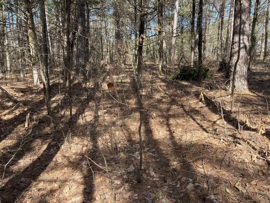 Lot 152 Mountain Ranch Drive, Fairfield Bay, AR 72088 - #2