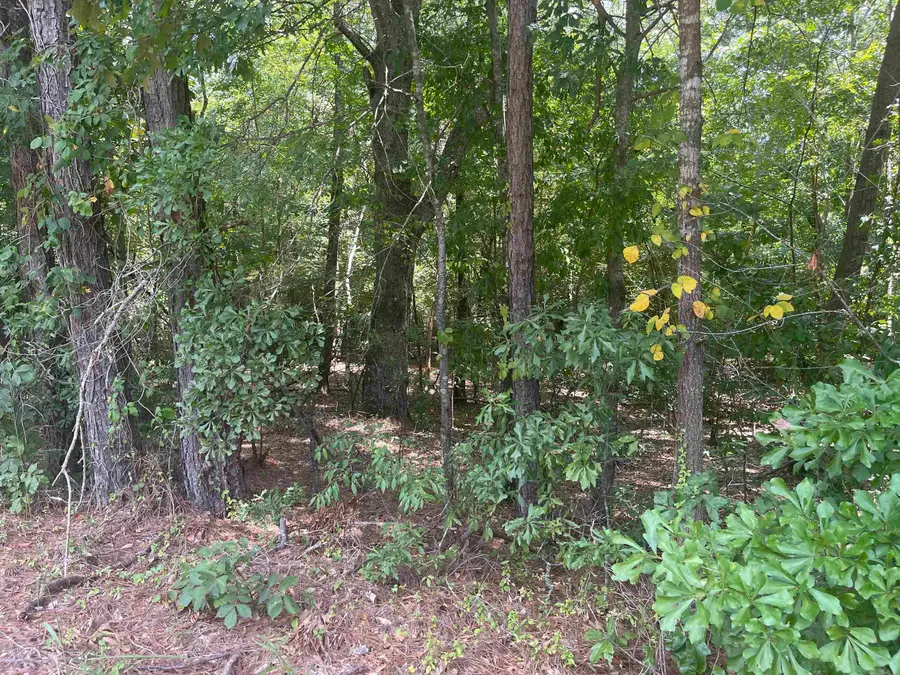 Ethel Road, Little Rock, AR 72206 - #3