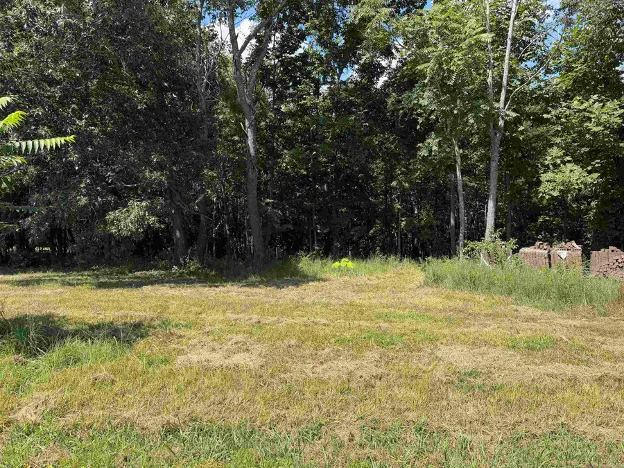 000 Caddy Cove Ln. Lot 35, Mountain View, AR 72560 - #2