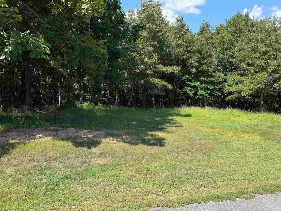 000 Caddy Cove Ln. Lot 35, Mountain View, AR 72560 - #3