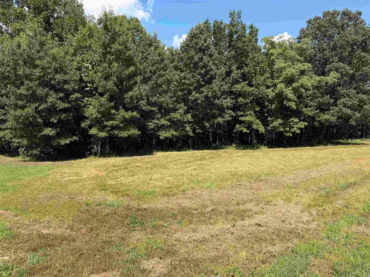 000 Caddy Cove Ln. Lot 34, Mountain View, AR 72560 - #1