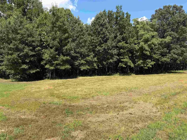 000 Caddy Cove Ln. Lot 34, Mountain View, AR 72560