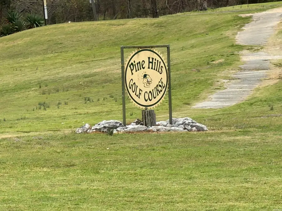 000 Caddy Cove Ln. Lot 34, Mountain View, AR 72560 - #3