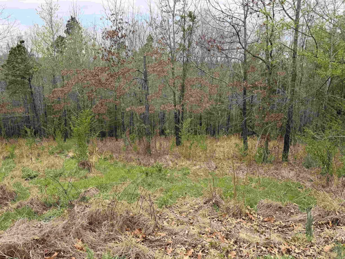 000 Birdie Ln. Lot 13, Mountain View, AR 72560 - #1