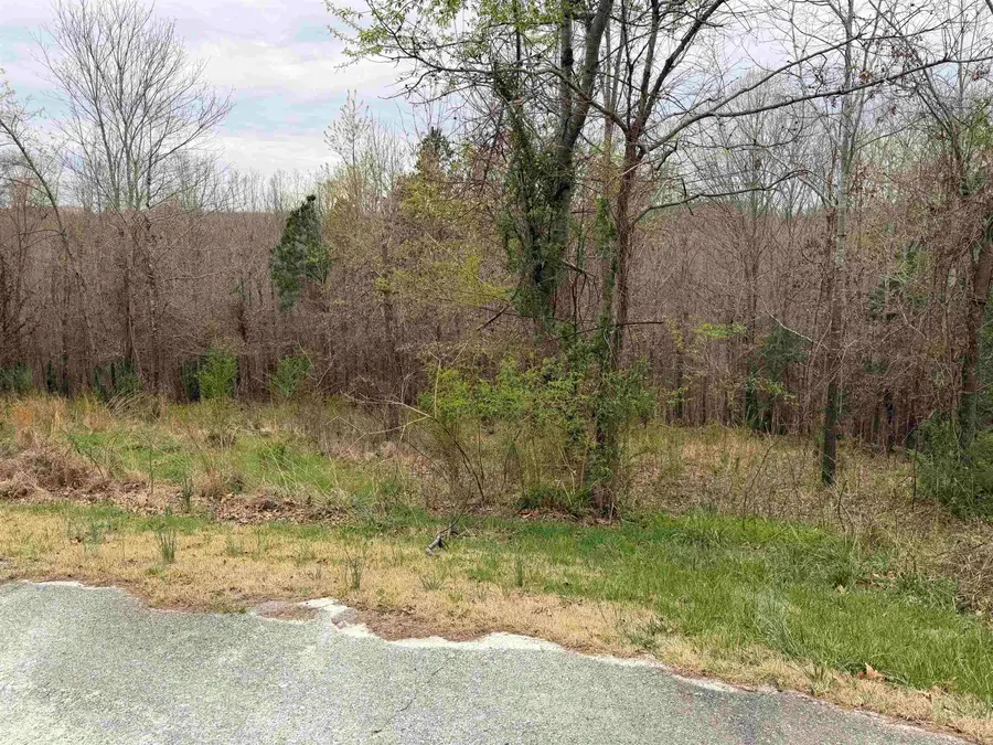 000 Birdie Ln. Lot 13, Mountain View, AR 72560 - #2