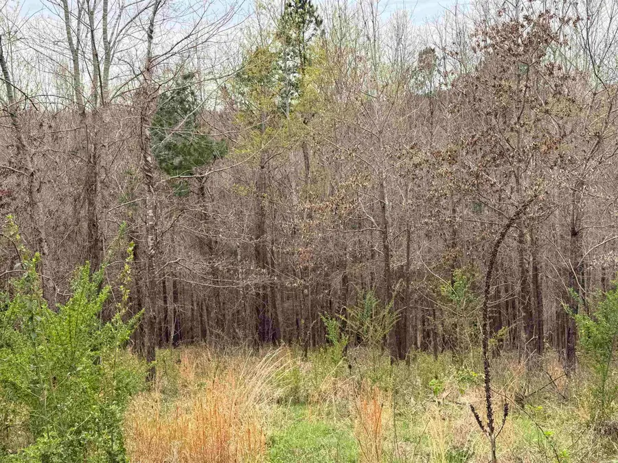 000 Birdie Ln. Lot 13, Mountain View, AR 72560 - #3