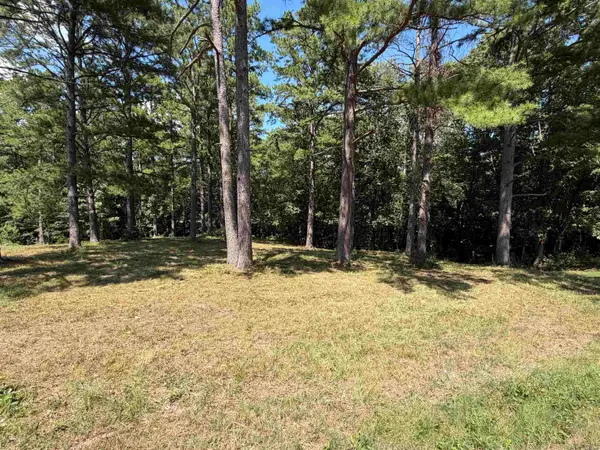 000 Tournament Dr. Lot 24, Mountain View, AR 72560