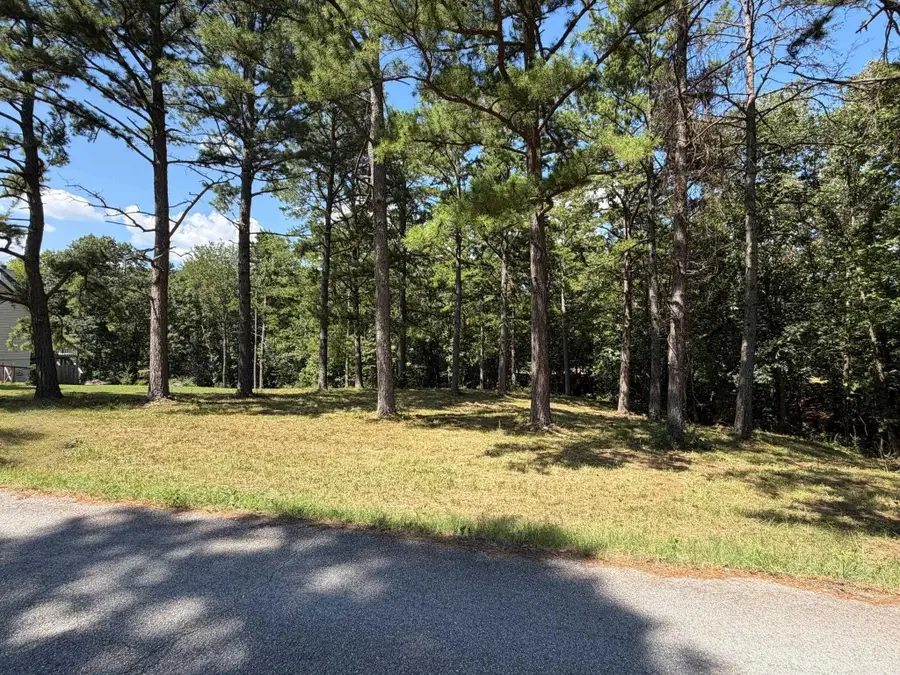 000 Tournament Dr. Lot 24, Mountain View, AR 72560 - #2