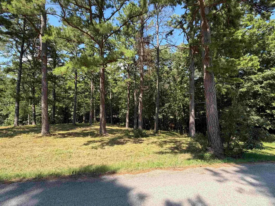 000 Tournament Dr. Lot 24, Mountain View, AR 72560 - #3