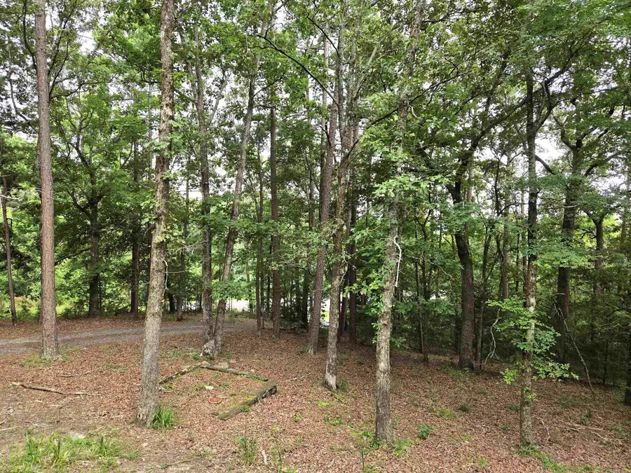 4014 Hwy 71 S, Mena, AR 71953 - #2