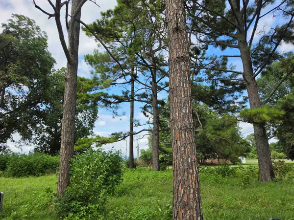 3203 Opal Street, Campbell Station, AR 72473