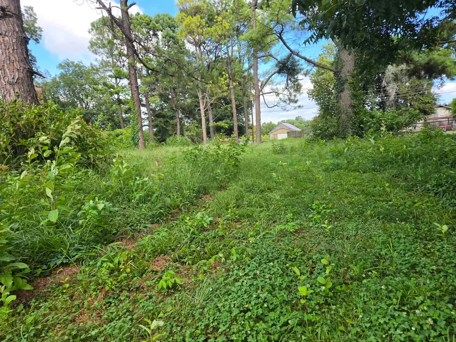 3203 Opal Street, Campbell Station, AR 72473 - #3