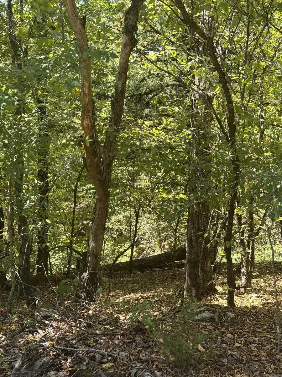 108 Pamplona Way, Hot Springs Village, AR 71909 - #2