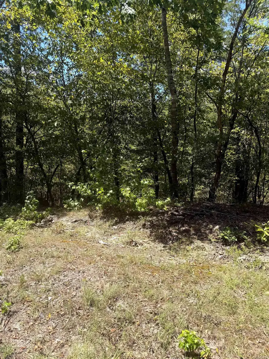 108 Pamplona Way, Hot Springs Village, AR 71909 - #3