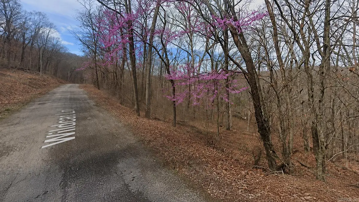 Lot 5 Wildcat Lane, Holiday Island, AR 72631 - #1
