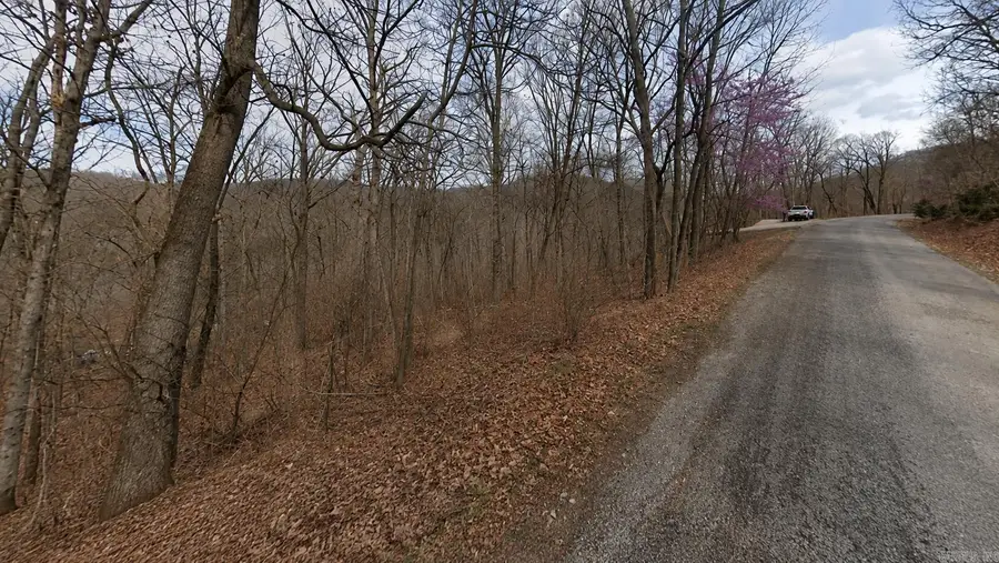 Lot 5 Wildcat Lane, Holiday Island, AR 72631 - #2