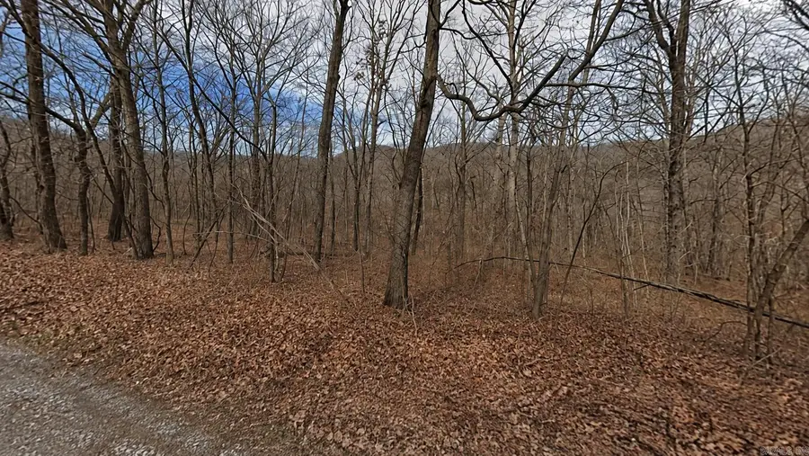 Lot 5 Wildcat Lane, Holiday Island, AR 72631 - #3