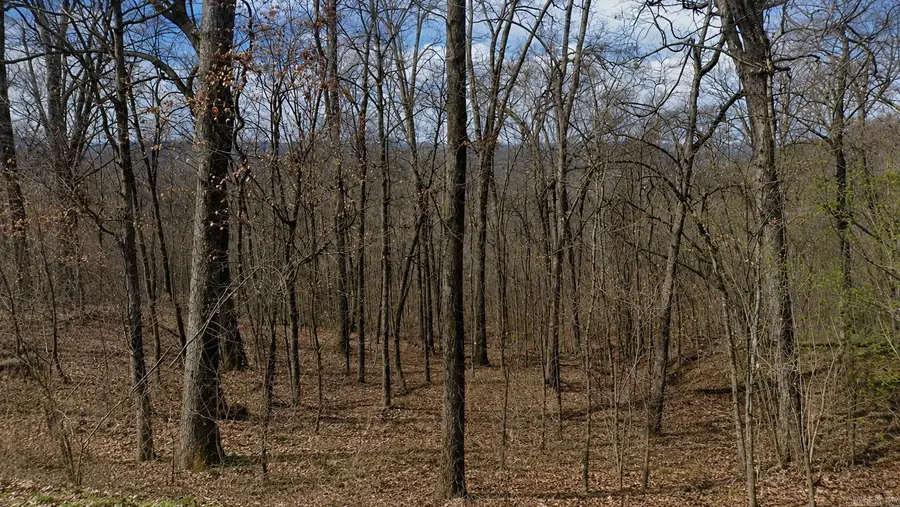 Lot 25 Woodcliff Lane, Holiday Island, AR 72631 - #3