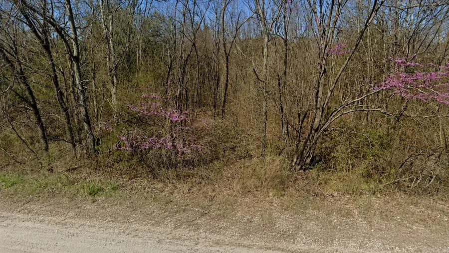 13 Sunset Lane, Holiday Island, AR 72631 - #3
