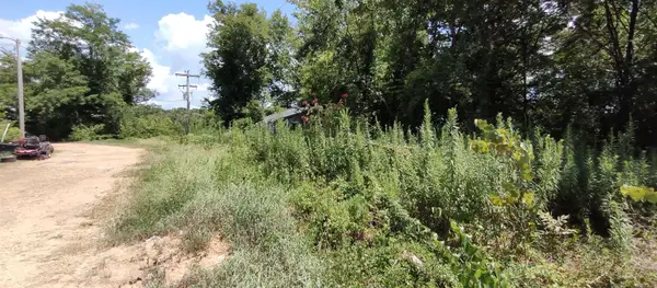 125 & 127 Ouachita 286, Camden, AR 71701