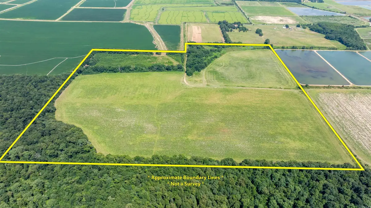 0 N Gray Rd, Des Arc, AR 72040 - #1