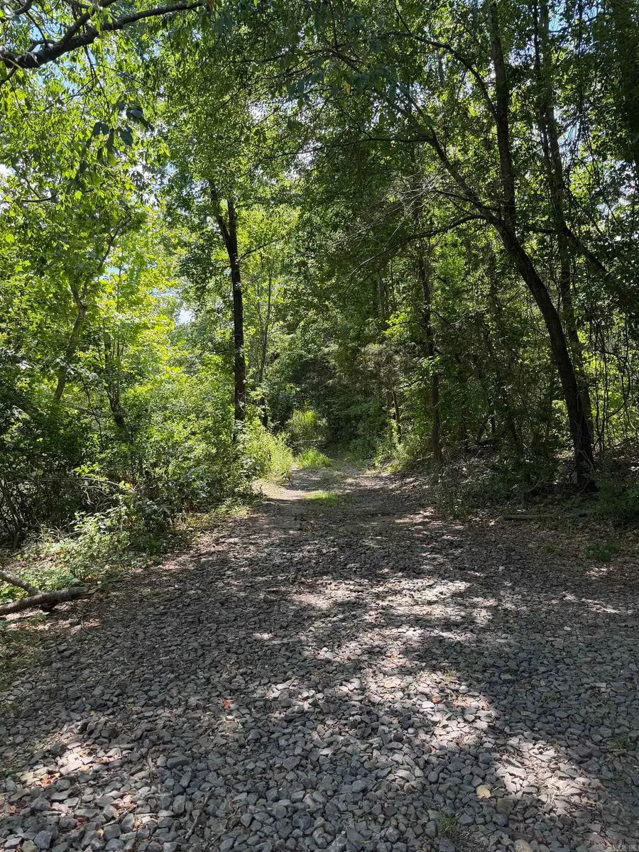 000 State Highway 22, Dardanelle, AR 72834 - #3