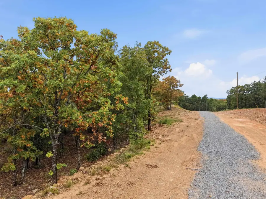 11 Sierra Sunset Cove, Conway, AR 72032 - #3