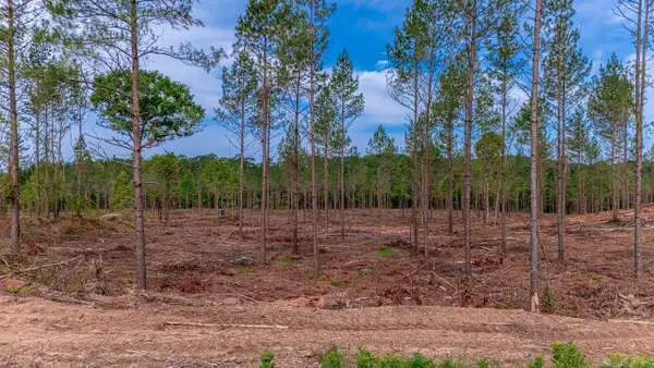 LOT #2 Grant 55, Hensley, AR 72065